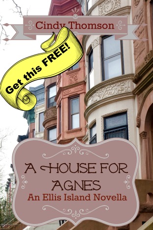 a-house-for-agnes-cover-free-tag-pic