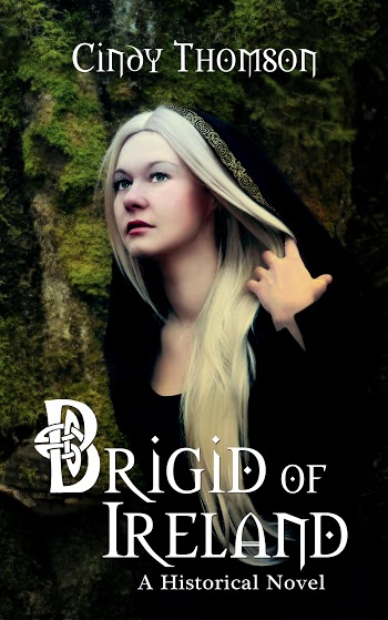 Novel Brigid of Ireland