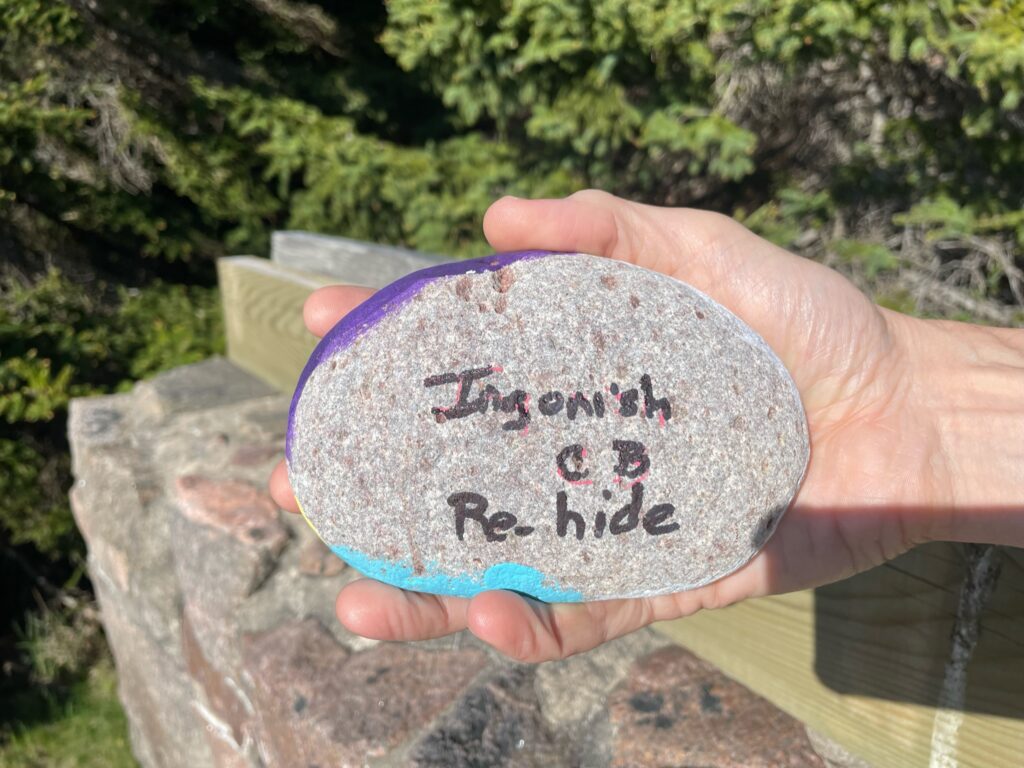 Rock found in Cape Breton near Ingonish
